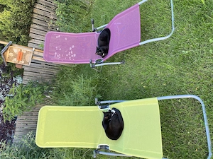 2 schwarz weiße Katzen abzugeben wegen Krankheit Bild 3