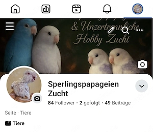 guck gerne mal vorbei