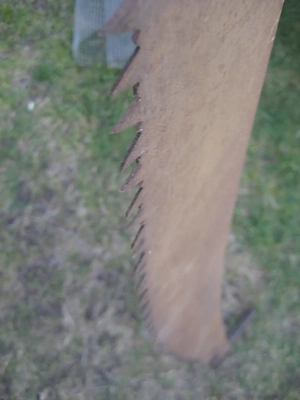 Zweimannsäge Trummsäge Hochzeit Säge Holzsäge Sägebogen 120cm Bild 3