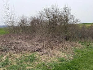 Grünflächenpflege & Mulcharbeiten Mähen Grünpflege 