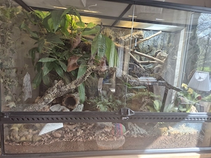 Exo Terra 90 x 60 x 45