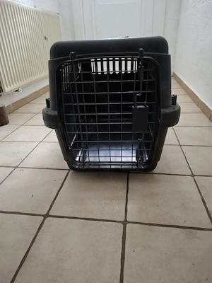 Katzen und Hunde Transportbox