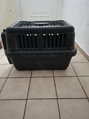 Katzen und Hunde Transportbox