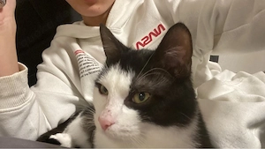 fredi jr. auch chef genannt 