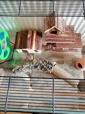 Zwerghamster-Becken mit Gitterabdeckung und Zubehör