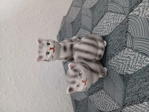 Hallo Liebe Katzen Freund ich suche ap  Juni  Juli eine Baby Katze  100 Euro würde ich zahlen.