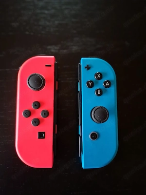 Nintendo Switch Controller 