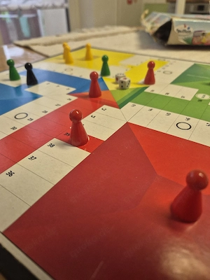 Mensch ärger dich nicht 