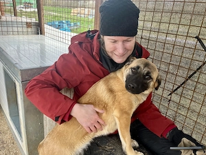 Lukretia, zzt. in Ungarn, Sie ist eine freundliche Dame und wartet eher ruhig auf ihre neue Familie