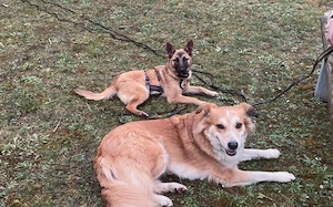 Yumiko - süß und menschenbezogen Bild 7