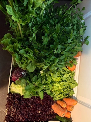 FrischFutter Kaninchen Meerschweinchen, Mensch