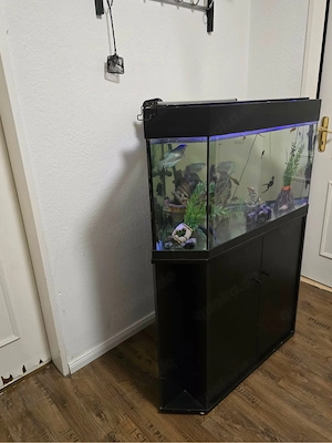 Aquarium 120 l