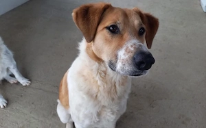 Wer will mit Jooke Abenteuer erleben?