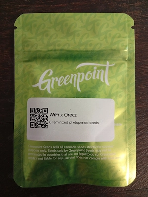 WiFi x Oreoz Saatgut