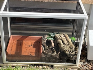 Freiluft Terrarium Eigenbau ohne Tiere 