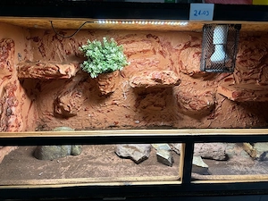 OSB Terrarium 120x50x50