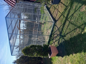 Papageien-Voliere für Aras, Kakadus fast neuwertig