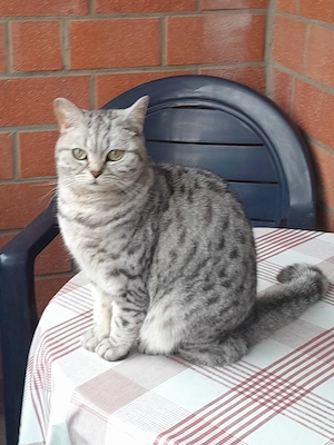 2 BKH suchen ein neues Erkundungs Gebiet 