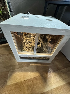 Terrarium mit Spinne