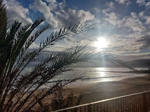 Kann Fahrten übernehmen