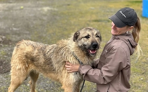 Verliebst du dich in den Hübschen Billy? Bild 4