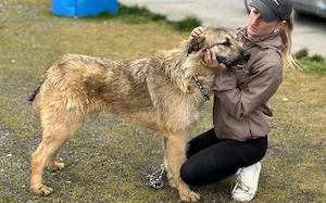 Verliebst du dich in den Hübschen Billy? Bild 5