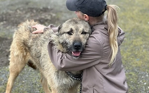 Verliebst du dich in den Hübschen Billy? Bild 3
