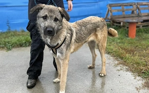 Verliebst du dich in den Hübschen Billy? Bild 2