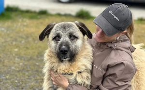 Herzensbrecher Tommy sucht seine Menschen