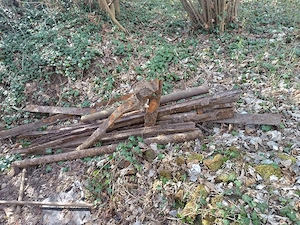 ich verkaufe ein paar Schrott 