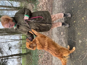 Zsömi, z.Z. in Ungarn, Schäferhund Mix, Hündin, groß, Einzelprinzessin, menschenfreundlich, aktiv Bild 6