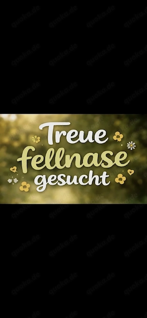 Fellnase gesucht KEIN WELPE 