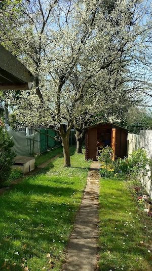    Eigentum: Gartengrundstück 553 qm mit Gebäuden, Solaranlage & Brunnen 64.999VB (kein Kleingarten) Bild 7