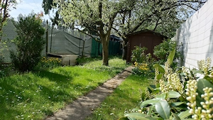    Eigentum: Gartengrundstück 553 qm mit Gebäuden, Solaranlage & Brunnen 64.999VB (kein Kleingarten) Bild 8