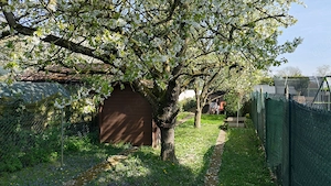    Eigentum: Gartengrundstück 553 qm mit Gebäuden, Solaranlage & Brunnen 64.999VB (kein Kleingarten) Bild 9