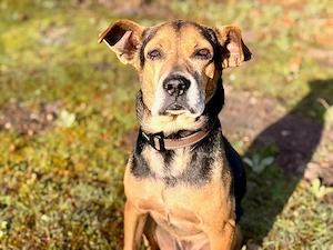 Butz sucht sein Zuhause