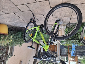 Kinder- Jugend-Mountainbike 24 Zoll