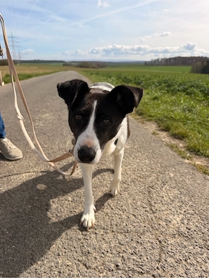 Alejandra, eine sanfte Seele auf der Suche nach ihren Herzensmenschen    Bild 5