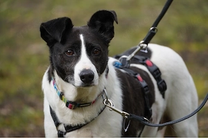 Alejandra, eine sanfte Seele auf der Suche nach ihren Herzensmenschen   