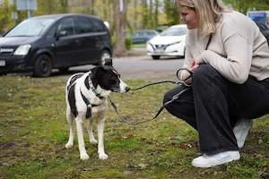Alejandra, eine sanfte Seele auf der Suche nach ihren Herzensmenschen    Bild 4