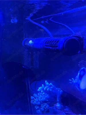 Red Sea ReefWave 25 Strömungspumpe 2 stück vorhanden 
