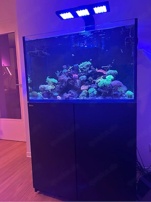 Red Sea Reefer 300 G2+ Schwarz Optimaler Zustand