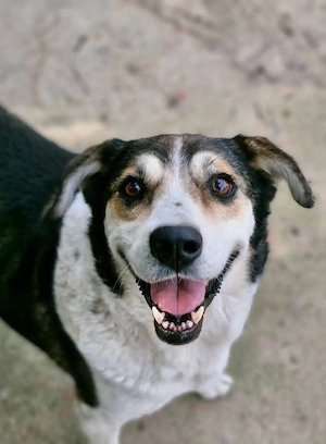 Bjarne liebt Menschen 