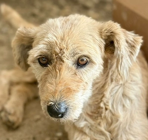 Lioba hofft gesehen zu werden