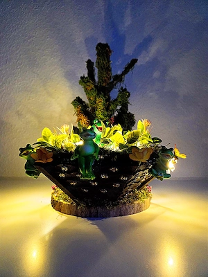 Handgefertigtes "Frosch-Idyll" mit LED-Beleuchtung