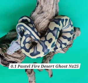 0.1 Fire Pastel Desert Ghost Nz25