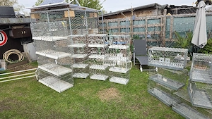 Verschiedene Zuchtkäfige abzugeben 