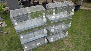 Zuchtkäfige gebraucht 