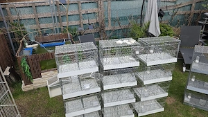 Zuchtkäfig 4 Türme .Gebraucht