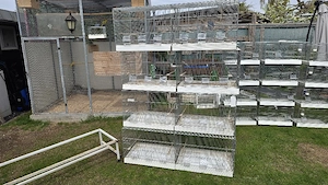 4 Zuchtkäfige Gebraucht